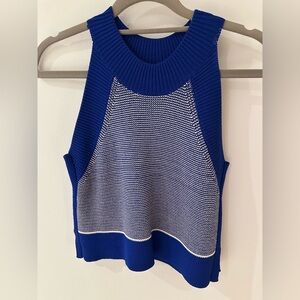 Aritzia Royal Blue and White Knit Tank Top